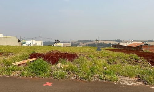 WhatsApp Image 2024-09-10 at 09.31.49 (1)