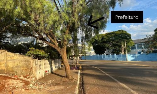 WhatsApp Image 2024-11-01 at 09.32.18 (2)