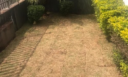 WhatsApp Image 2025-08-15 at 10.55.41 - Copia