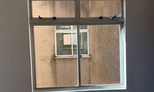 WhatsApp Image 2026-01-19 at 10.18.02 (3)